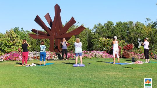 Group practicing Morning Activation at the Gardens near a large outdoor sculpture and vibrant flower beds at Peace River Botanical & Sculpture Gardens.